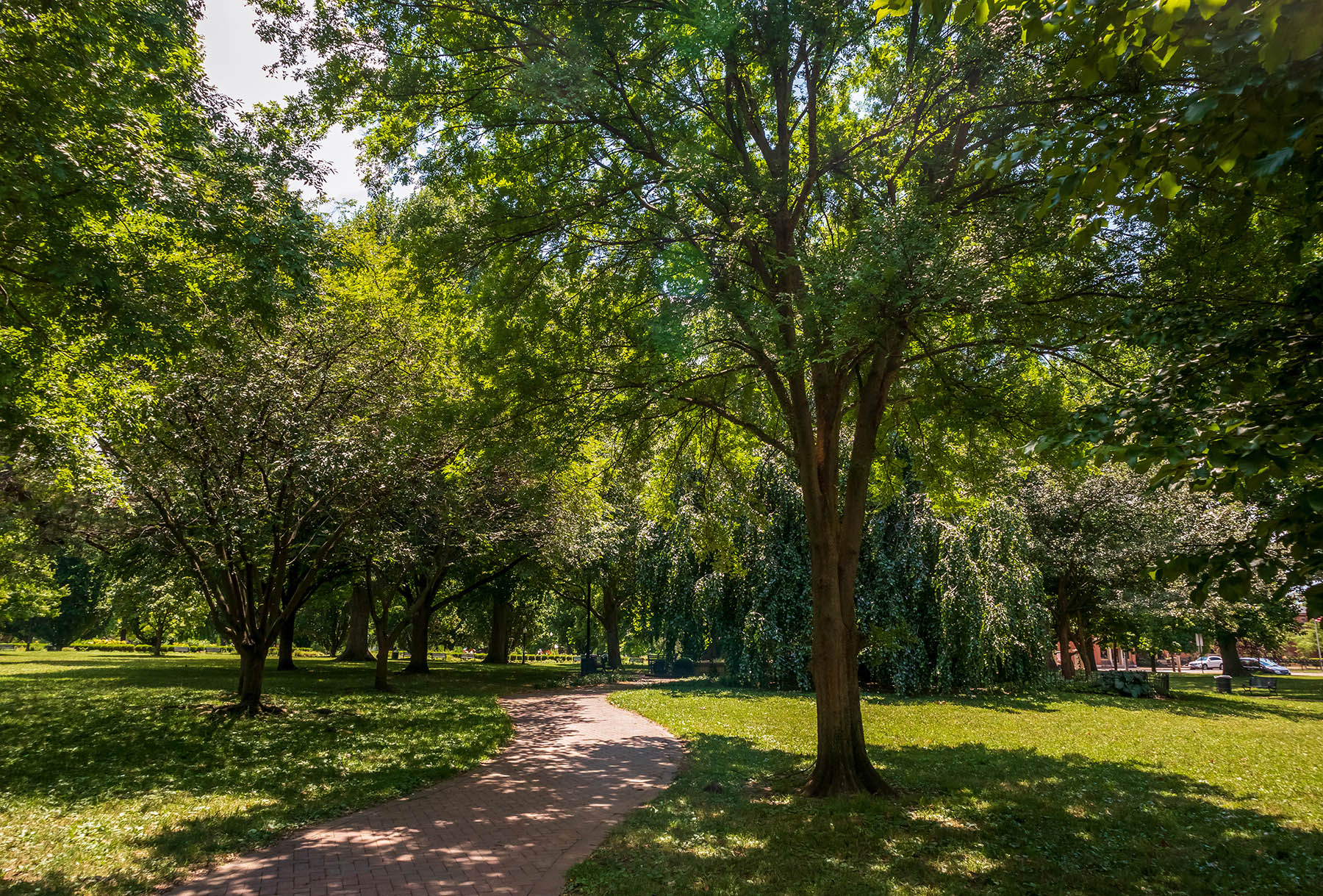 The Best Parks and Green Spaces in Columbus for Outdoor Enthusiasts