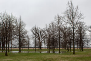 The Changing Seasons of Columbus: A Weather Guide