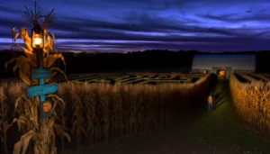 Guide to Columbus’ Top Spooky Season Events